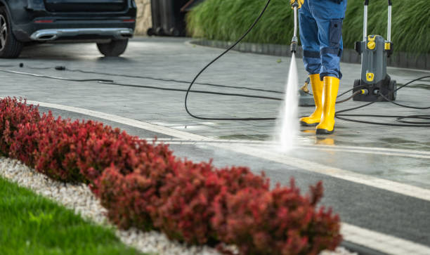 Best Roof Cleaning and Mildew Removal in China Grove, TX